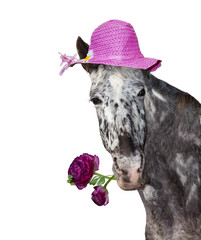 Funny and friendly horse lady giving springtime greetings.