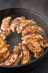 鉄鍋餃子　 Iron pan pot sticker Chinese food