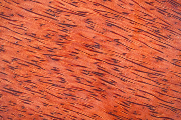 wood grain of coconut (nature background)