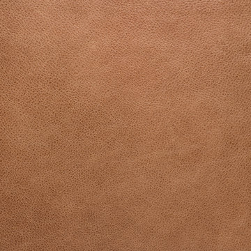 Fototapeta leather texture