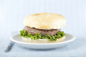 yummy plate of burger sandwich