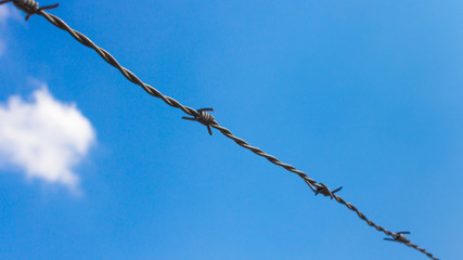 barbed wire against blue sky