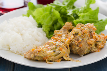 rabbit with sauce,  boiled rice and salad on plate