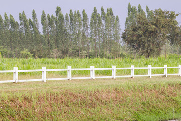 White fence in the green grass field