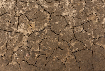 Cracked soil texture.