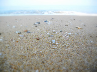 Sandy beach in the morning