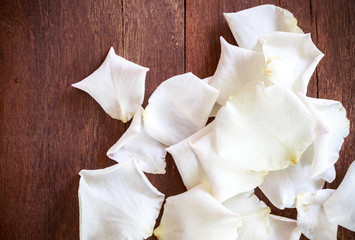 white petal rose on wooden