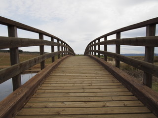 Puente de madera pequeño sobre un rio visto en perspectiva 
