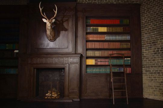 Classical library room  in the victorian style