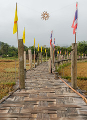 Bamboo bridge pass rice field