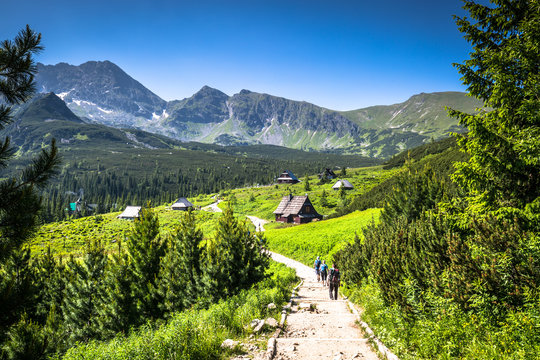 Fototapeta View of Tatra Mountains from hiking trail. Poland. Europe.