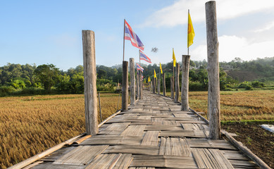 Old Bamboo bridge pass rice field to the temple