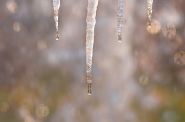 icicles on a blurred background