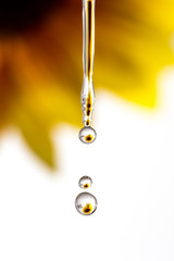Fototapeta premium Girasole riflesso in gocce d'acqua