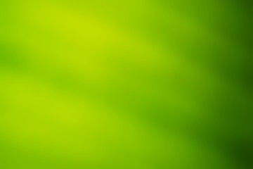 natural green background