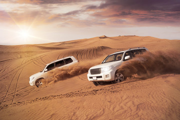 Desert Dune Bashing - 107329050