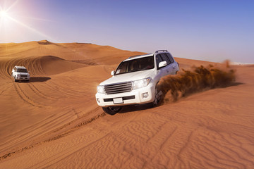 Desert Safari with SUVs - 107329075