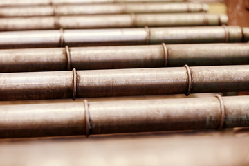 Production of metal structures on the plant