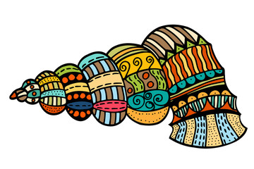 Seashell. Vector illustration.