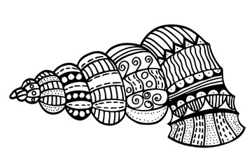 Zentangle stylized shell.