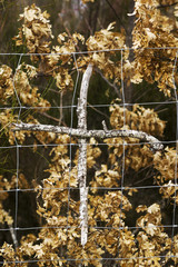 crosses of branches make by pilgrims  in way of st James , Camino de Santiago, to Compostela,  Leon, Spain
