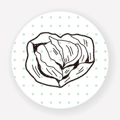 Cabbage doodle