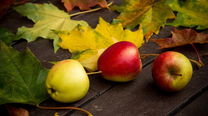 Autumn leaves and apples over wooden background