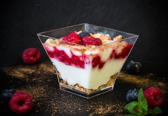 greedy composition of glass dessert with yogurt cream and red fr