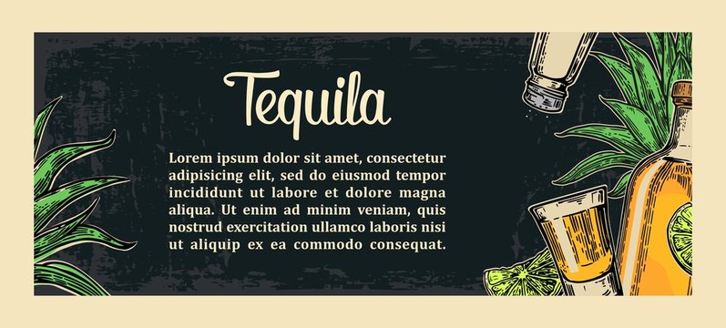 Mexican traditional food restaurant menu template with traditional spicy dish. burrito, tacos, tomato, nachos, tequila, lime. Vector vintage engraved illustration on dark background.  For poster, web.