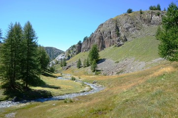 Ruisseau, prairie Vall d'Allos
