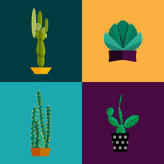 Tropical plants, cactus vector set in flat style.