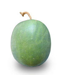 winter melon isolated