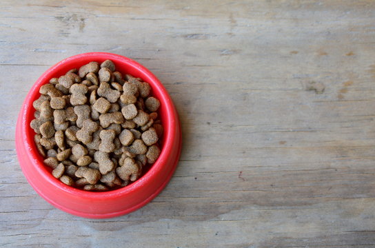 dog food in red plastic bowl