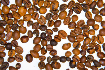 roasted coffee grains on white background for slides
