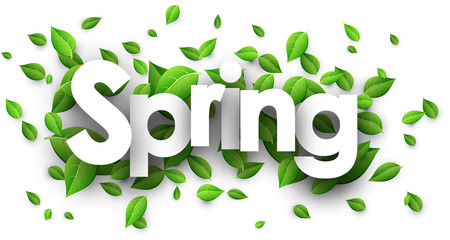 Spring paper banner.