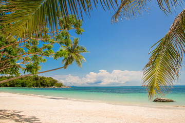 Fototapeta na wymiar Tropical beach landscape with a leaning palm tree