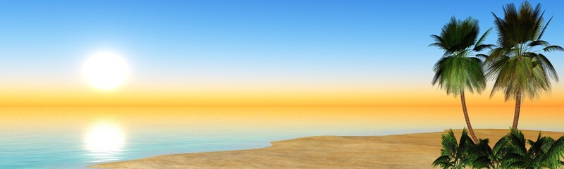 Fototapeta na wymiar panorama of sea sunset, the sun on a tropical beach with palm trees, banners,
