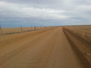 Naklejka premium Dog Fence am Abend, Coober Pedy Australien