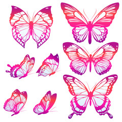 butterflies design