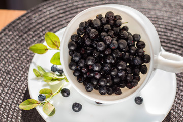 White cup with blueberry and branch green on the table