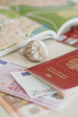 Российский заграничный паспорт и купюры евро