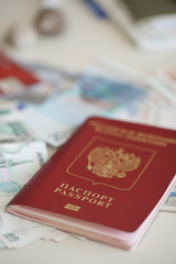 Российский заграничный паспорт и валюта разных стран