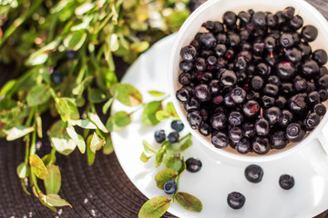 White cup with blueberry and branch green on the table