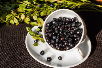 White cup with blueberry and branch green on the table