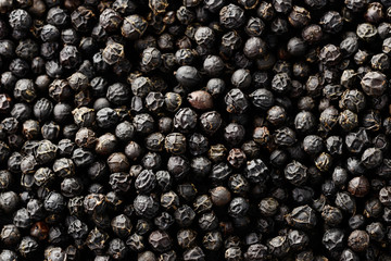 ブラックペッパー