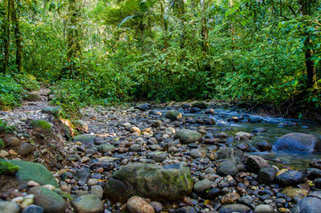 Naklejka na ściany i meble Small Amazon jungle sideriver with little water exposing rocks and circular shaped stones 
