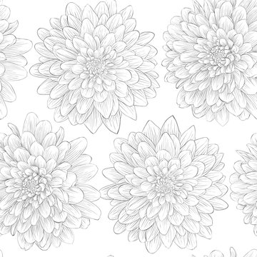 beautiful black and white seamless pattern in  dahlia