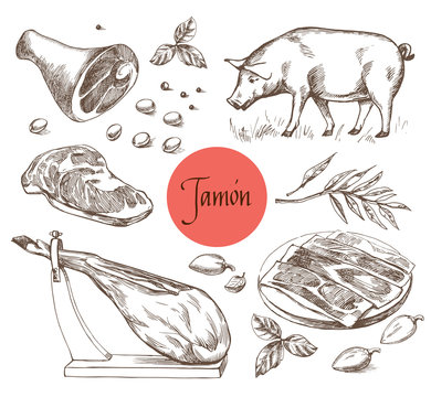Jamon set. Black Iberian Pig, Jamon, Meat, Beef, spices for meat. Vector illustration in Vintage engraving style. Can be used for menu illustration, label or sticker image. Isolated