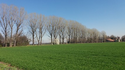 Obraz premium Mirazzano