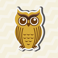 owl bird design 